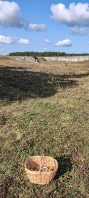 Прикрепленное изображение: IMG_20231003_100053.jpg